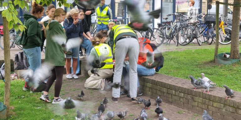 Workshop stringfoot helpt de stadsduif in nood
