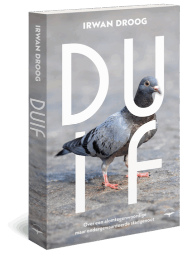 Boekomslag Duif van Irwan Droog