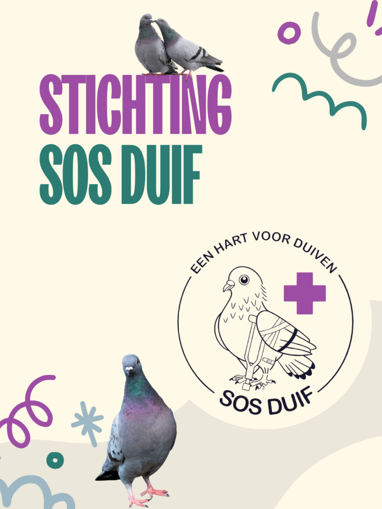 SOS Duif is officieel een stichting